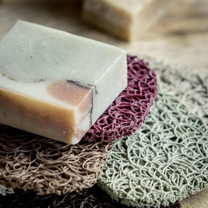 SoapLift - Le Bon Sens